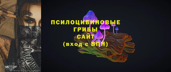 эйфоретик Алзамай
