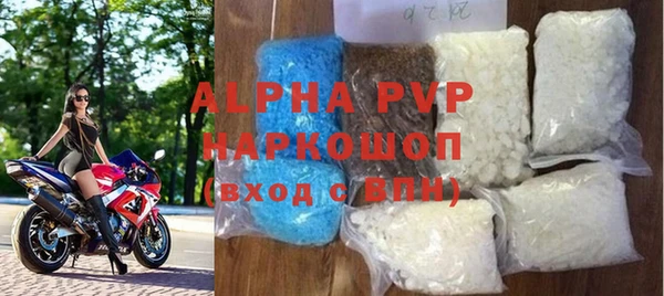 прущие грибы Покачи