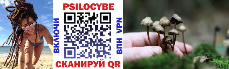 Псилоцибиновые грибы Cubensis Поворино